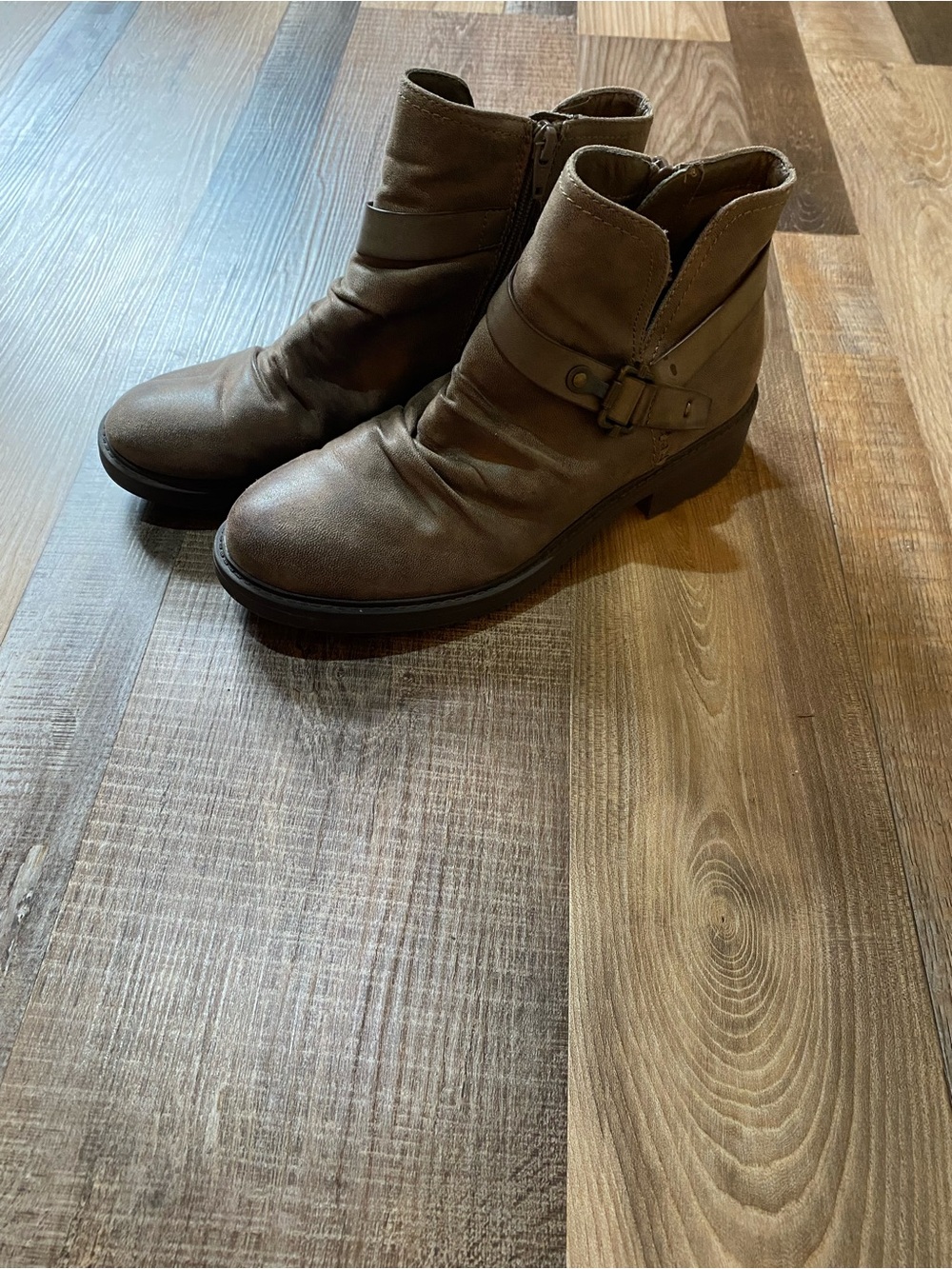 BareTraps Brown Ankle Booties with Side Buckle